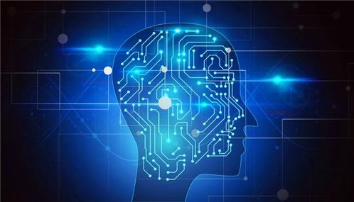 计算机软件开发 政策东风下的热门之选与未来展望